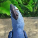 Rio